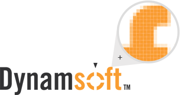 Dynamsoft圖標