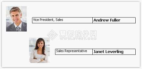 FastReport.NET報表控件使用教程 - 層次結(jié)構(gòu)的打印